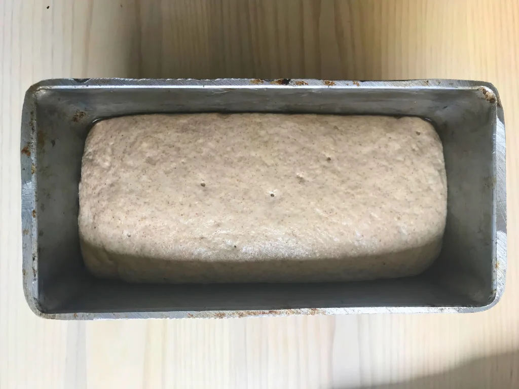 bread-home-process-2 Bread Home Process 2